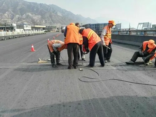 磁县道路桥梁病害治理